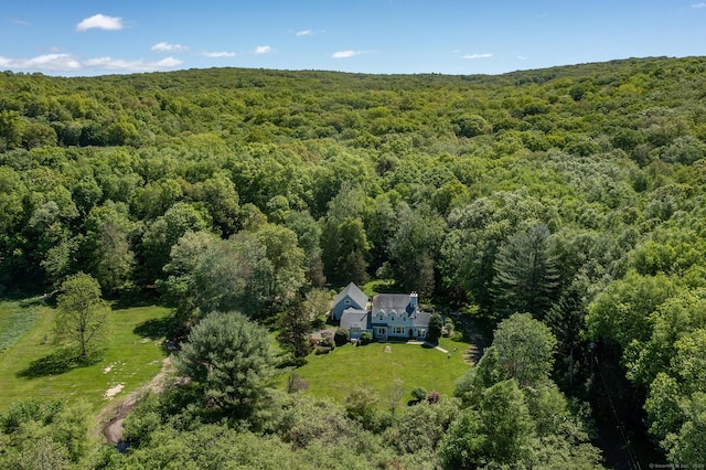 286 S St, Roxbury, CT 06783 - view from above of property featuring a heavily wooded area
