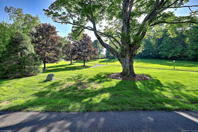 16 Black Rock Tpke, Redding, CT 06896 - view of property's community with a yard