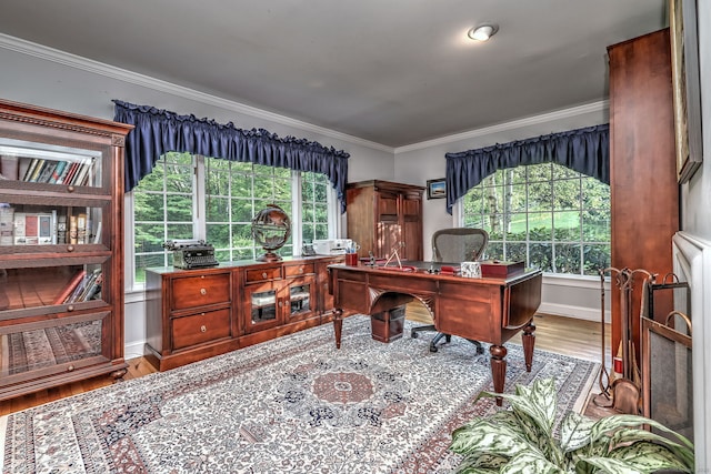 16 Black Rock Tpke, Redding, CT 06896 - office space with crown molding, wood finished floors, and healthy amount of natural light