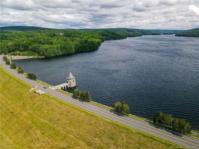 LOT5 Ratlum Mountain Rd, Barkhamsted, CT 06063 - aerial view of a large body of water and a forest