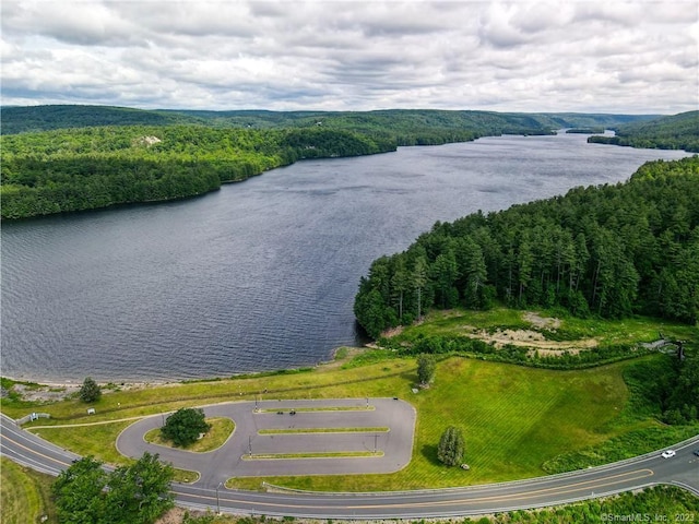 LOT5 Ratlum Mountain Rd, Barkhamsted, CT 06063 - aerial view of a nearby body of water and a forest