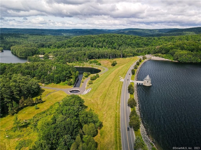 LOT5 Ratlum Mountain Rd, Barkhamsted, CT 06063 - drone / aerial view of a heavily wooded area and a nearby body of water