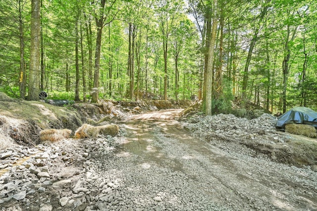 LOT5 Ratlum Mountain Rd, Barkhamsted, CT 06063 - view of undeveloped land