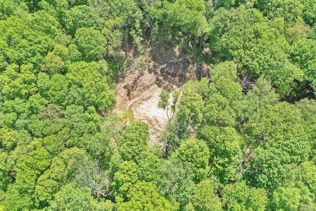 LOT5 Ratlum Mountain Rd, Barkhamsted, CT 06063 - view of property location featuring a heavily wooded area