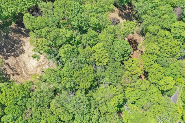 LOT5 Ratlum Mountain Rd, Barkhamsted, CT 06063 - aerial view of a forest