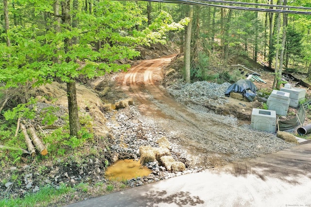 LOT5 Ratlum Mountain Rd, Barkhamsted, CT 06063 - view of yard
