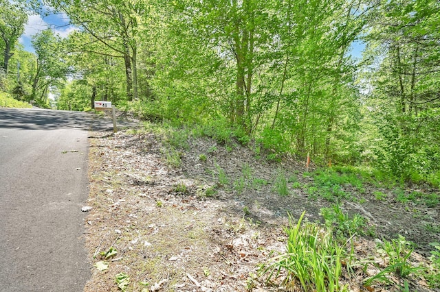 LOT5 Ratlum Mountain Rd, Barkhamsted, CT 06063 - view of asphalt street