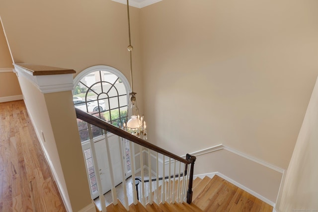 2 Governors Row Unit 2, West Hartford, CT 06117 - stairway featuring wood finished floors, a chandelier, and baseboards