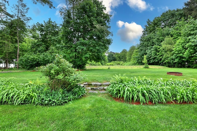 691 Buttonball Rd, Orange, CT 06477 - view of grassy yard