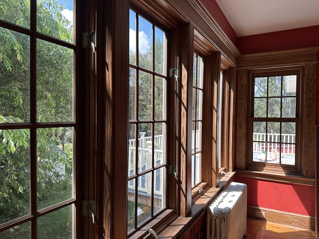 1666 Ridge Rd, North Haven, CT 06473 - doorway with radiator heating unit