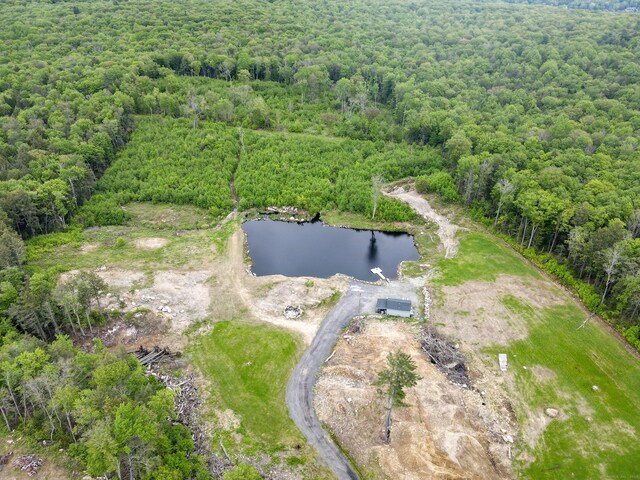 257 Torringford St, Winchester, CT 06098 - photo 3
