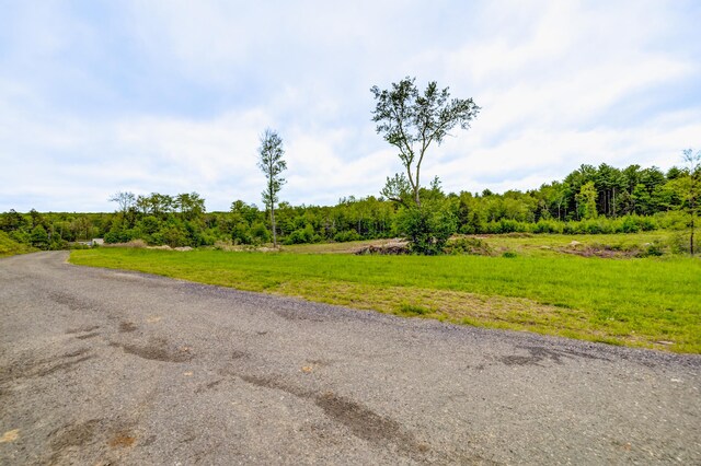 257 Torringford St, Winchester, CT 06098 - photo 14