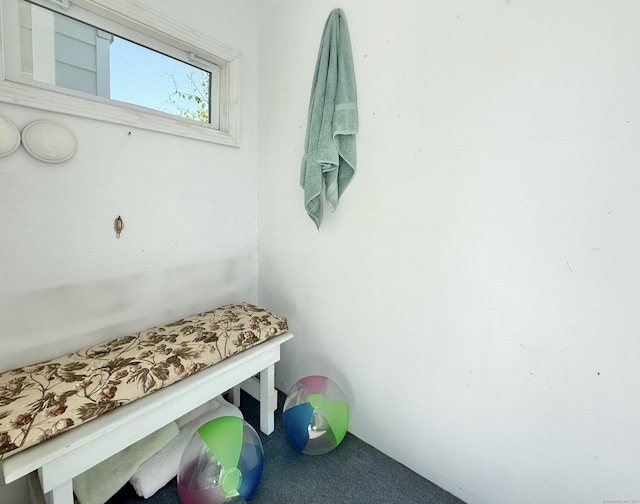 12 Rolling Ln, Norwalk, CT 06851 - view of mudroom