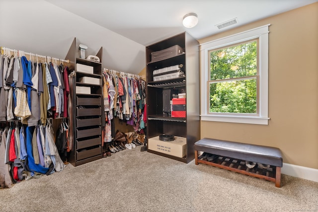 254 Haley Rd, Groton, CT 06355 - walk in closet with carpet
