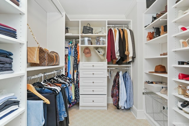 13 Witch Ln, Norwalk, CT 06853 - walk in closet with light floors