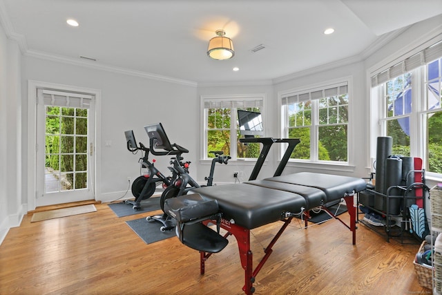 13 Witch Ln, Norwalk, CT 06853 - workout area featuring plenty of natural light, wood finished floors, recessed lighting, ornamental molding, and baseboards