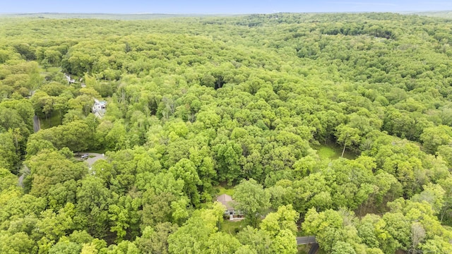 23 Aunt Pattys Ln W, Bethel, CT 06801 - aerial view of a forest