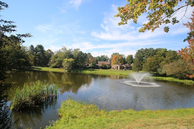 278 Heritage Vlg Unit B, Southbury, CT 06488 - water view
