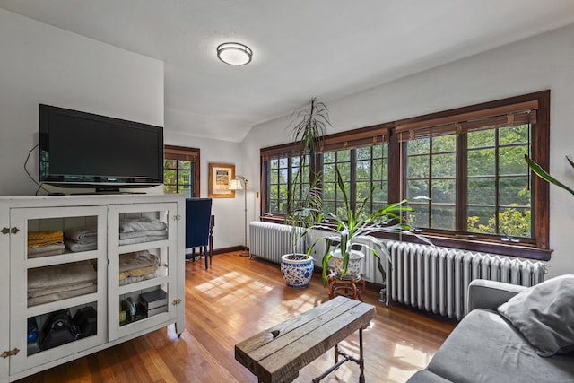 128 Blake Rd, Hamden, CT 06517 - living room with radiator, wood finished floors, lofted ceiling, and baseboards