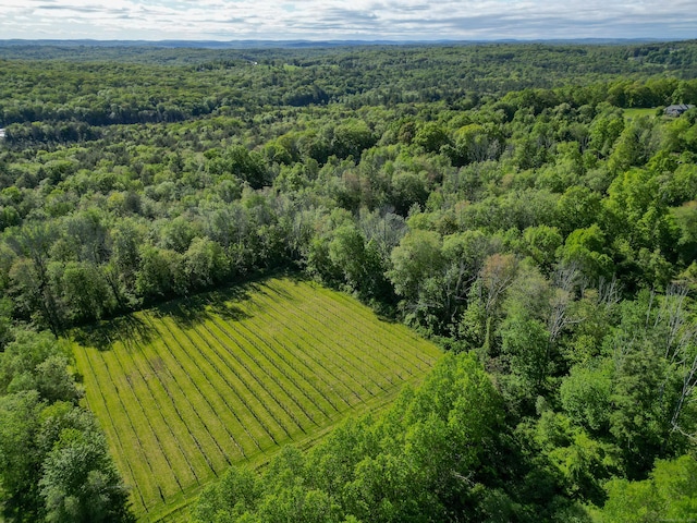 125 Woodchuck Ln, Harwinton, CT 06791 - drone / aerial view of a heavily wooded area