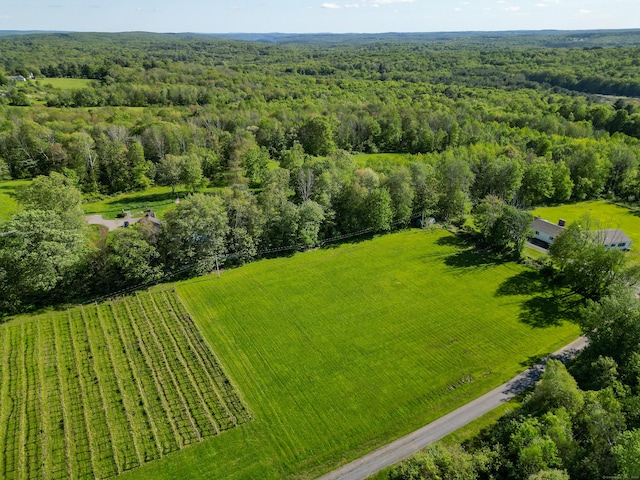 125 Woodchuck Ln, Harwinton, CT 06791 - bird's eye view of a forest