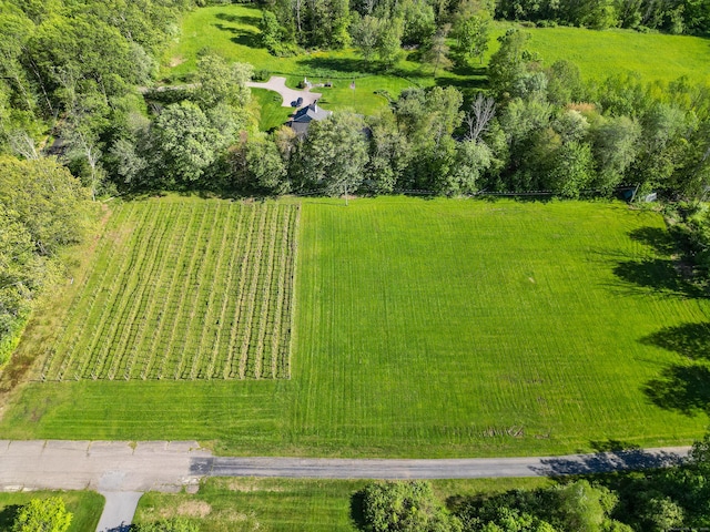 125 Woodchuck Ln, Harwinton, CT 06791 - overview of rural landscape