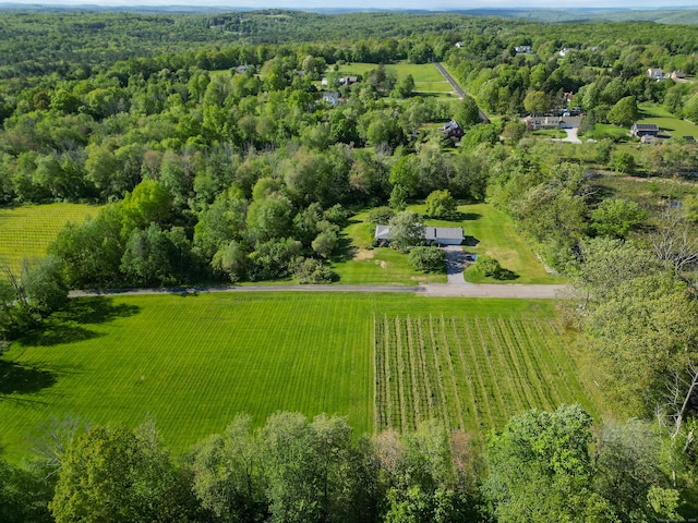 125 Woodchuck Ln, Harwinton, CT 06791 - aerial view of sparsely populated area featuring abundant farmland and a forest