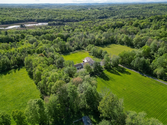 125 Woodchuck Ln, Harwinton, CT 06791 - aerial view of sparsely populated area with a forest