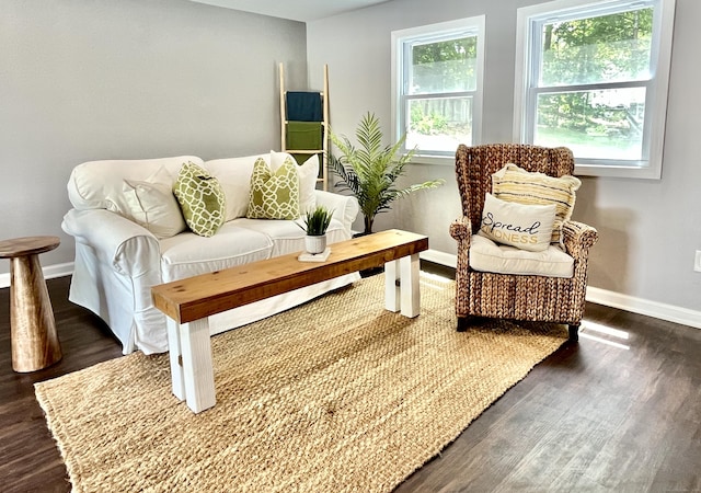 25 Mohawk Trl, East Hampton, CT 06424 - living room with dark wood-style floors and baseboards