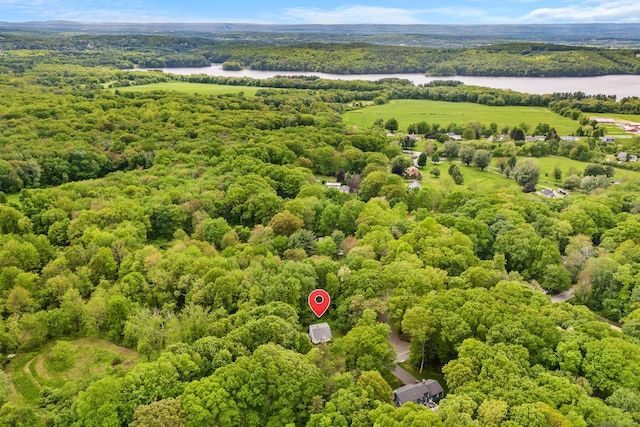 33 Hurlbut Rd, Tolland, CT 06084 - drone / aerial view of a large body of water and a heavily wooded area