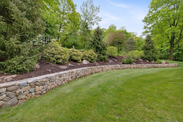15 Ledge Rd, Southington, CT 06489 - view of grassy yard