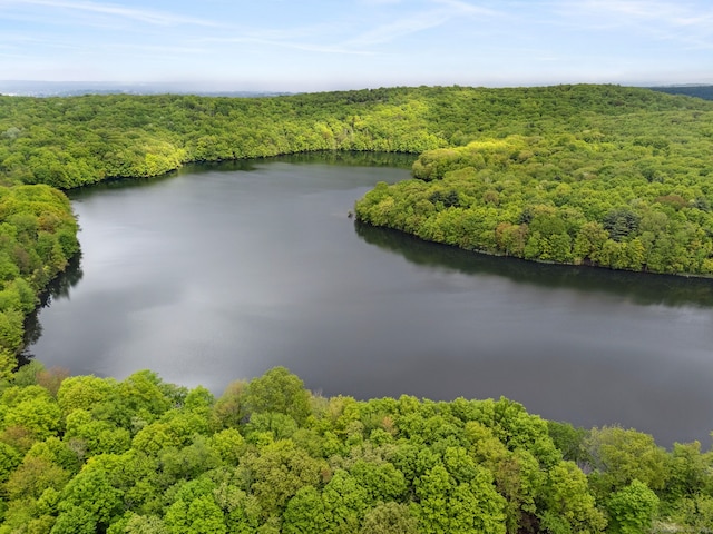 15 Ledge Rd, Southington, CT 06489 - aerial view of a heavily wooded area and a large body of water