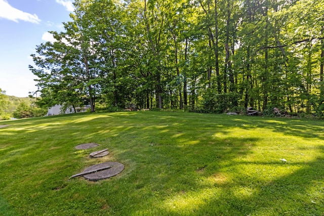 55 Linton St, Torrington, CT 06790 - view of green lawn