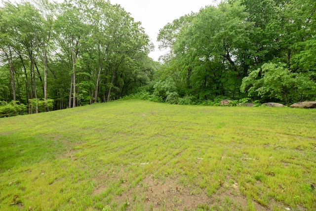 21 Summer Brook Way, Seymour, CT 06483 - view of grassy yard