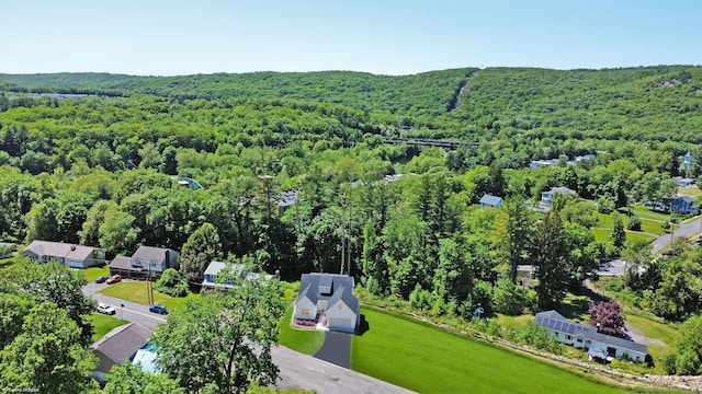 67 Fairfield Pl, Beacon Falls, CT 06403 - drone / aerial view of a forest