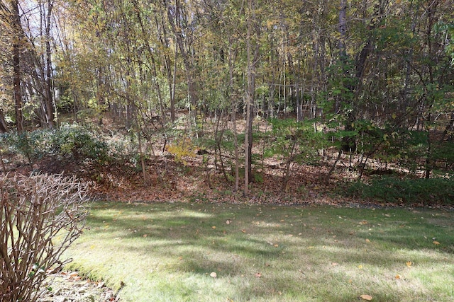 62 Deer Run Unit 62, Bethel, CT 06801 - view of green lawn