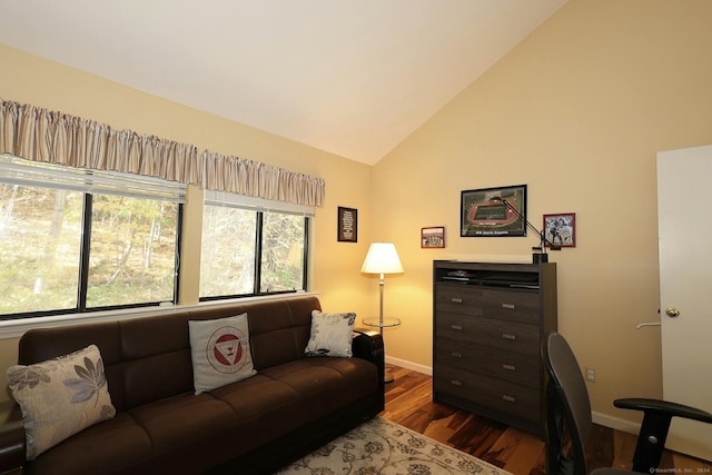 62 Deer Run Unit 62, Bethel, CT 06801 - living area with dark wood-style flooring, baseboards, and high vaulted ceiling