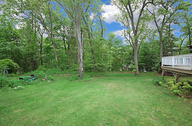 179 N Moodus Rd, East Haddam, CT 06469 - view of green lawn with a deck