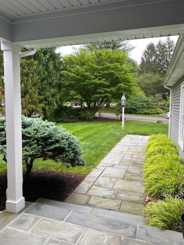 2 Tunxis Pl, Cheshire, CT 06410 - view of green lawn