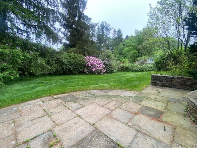 2 Tunxis Pl, Cheshire, CT 06410 - view of green lawn featuring a patio area