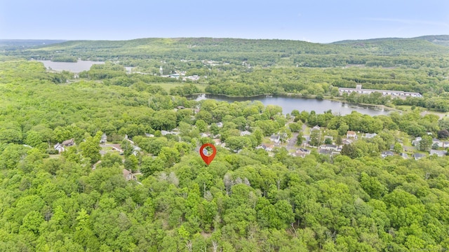 179 Carey Ave, Meriden, CT 06451 - bird's eye view of a heavily wooded area and a nearby body of water