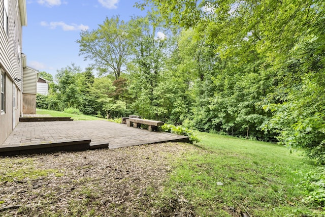 5 Brainerd Dr, Portland, CT 06480 - view of green lawn with a patio