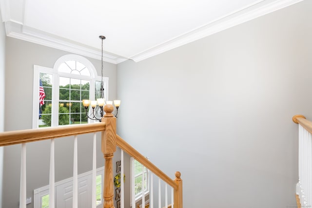 9 Tall Wood Dr, East Hampton, CT 06424 - staircase with a chandelier, ornamental molding, and healthy amount of natural light