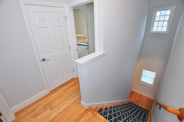 35 Ringgold St Unit 401, West Hartford, CT 06119 - staircase featuring wood finished floors and baseboards