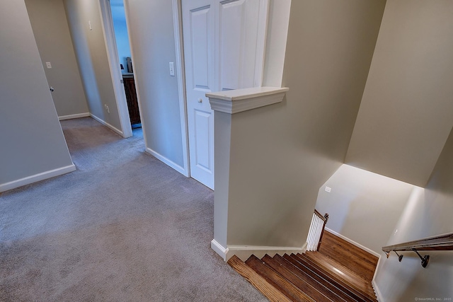105 Scott St, Naugatuck, CT 06770 - stairs featuring carpet floors and baseboards