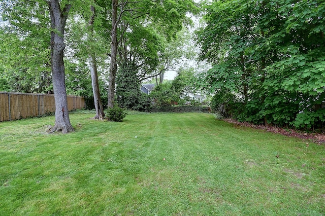 34 Woodbridge St, Manchester, CT 06042 - view of yard