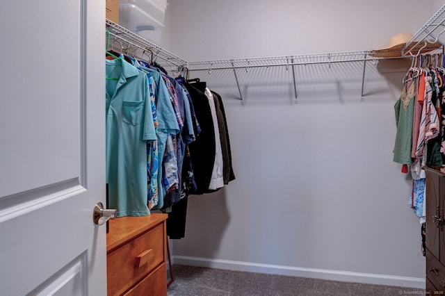 2 Linden Ct, Southington, CT 06489 - walk in closet with carpet