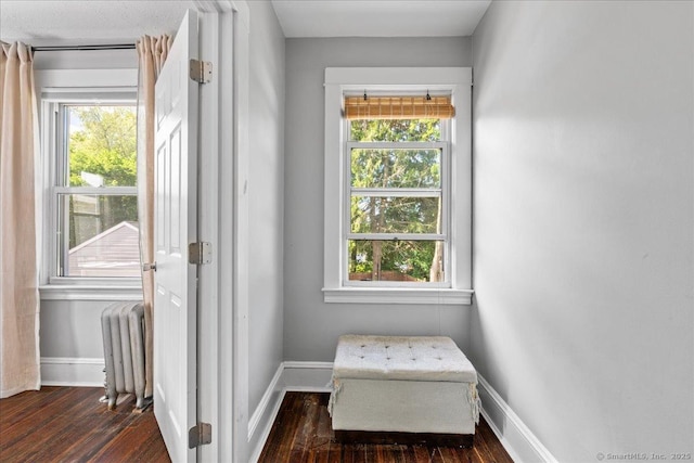 76 Geer Ave, Norwich, CT 06360 - doorway to outside featuring radiator, baseboards, dark wood finished floors, and healthy amount of natural light