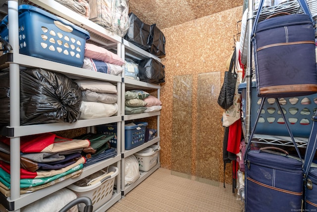 17 Saint George Pl Unit 17, Newtown, CT 06482 - view of storage area