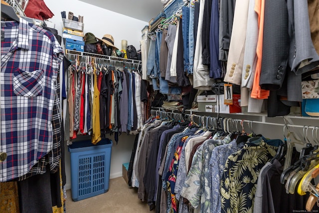 17 Saint George Pl Unit 17, Newtown, CT 06482 - walk in closet with carpet